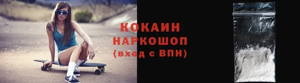 мдпв Магас
