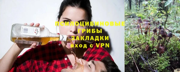 мдпв Магас