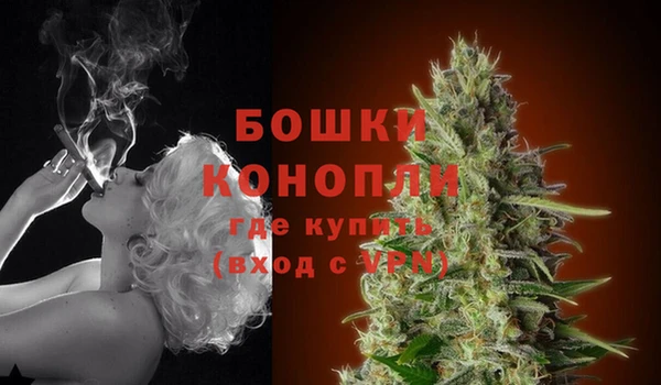 мдпв Магас