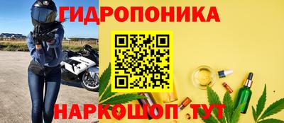 индика Кулебаки