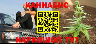 индика Кулебаки