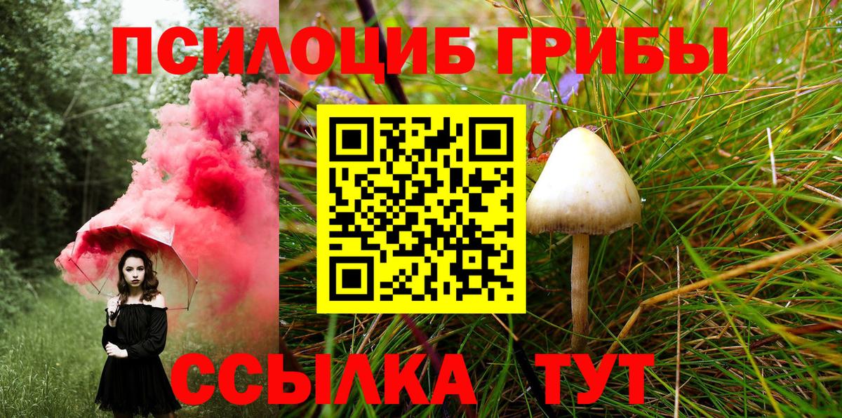 Псилоцибиновые грибы GOLDEN TEACHER Рассказово
