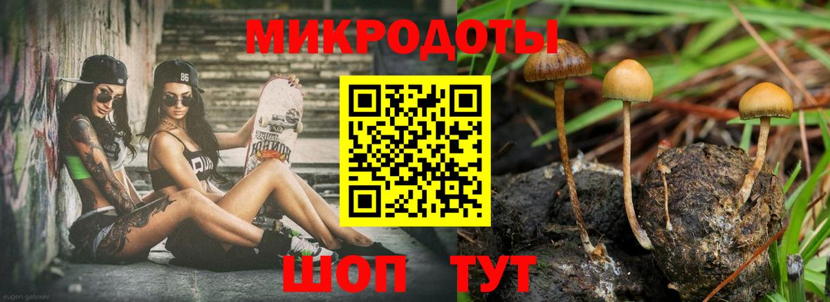 Псилоцибиновые грибы GOLDEN TEACHER  Псилоцибиновые грибы GOLDEN TEACHER  Рассказово  Вход с VPN 