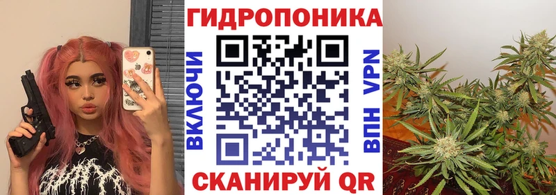 мега как войти  Рассказово  МАРИХУАНА ГИДРОПОН 